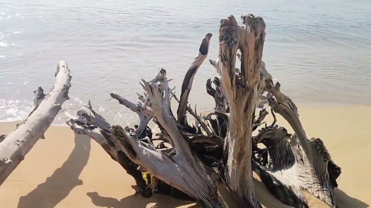 หาดทรายแก้ว จังหวัดพังงา #travel #beach 