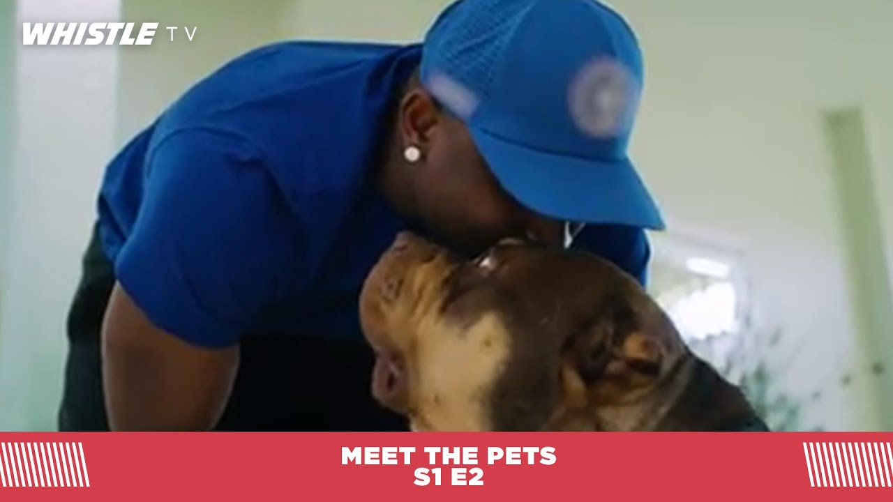 NFL Stars Show Off Their Pets