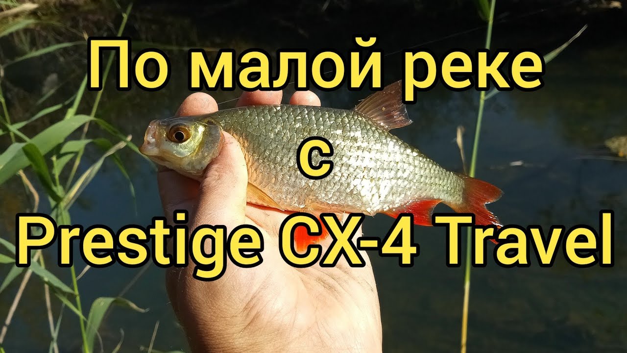 По малой реке с Prestige CX-4 Travel 198 см. 0.2-0.8 гр.