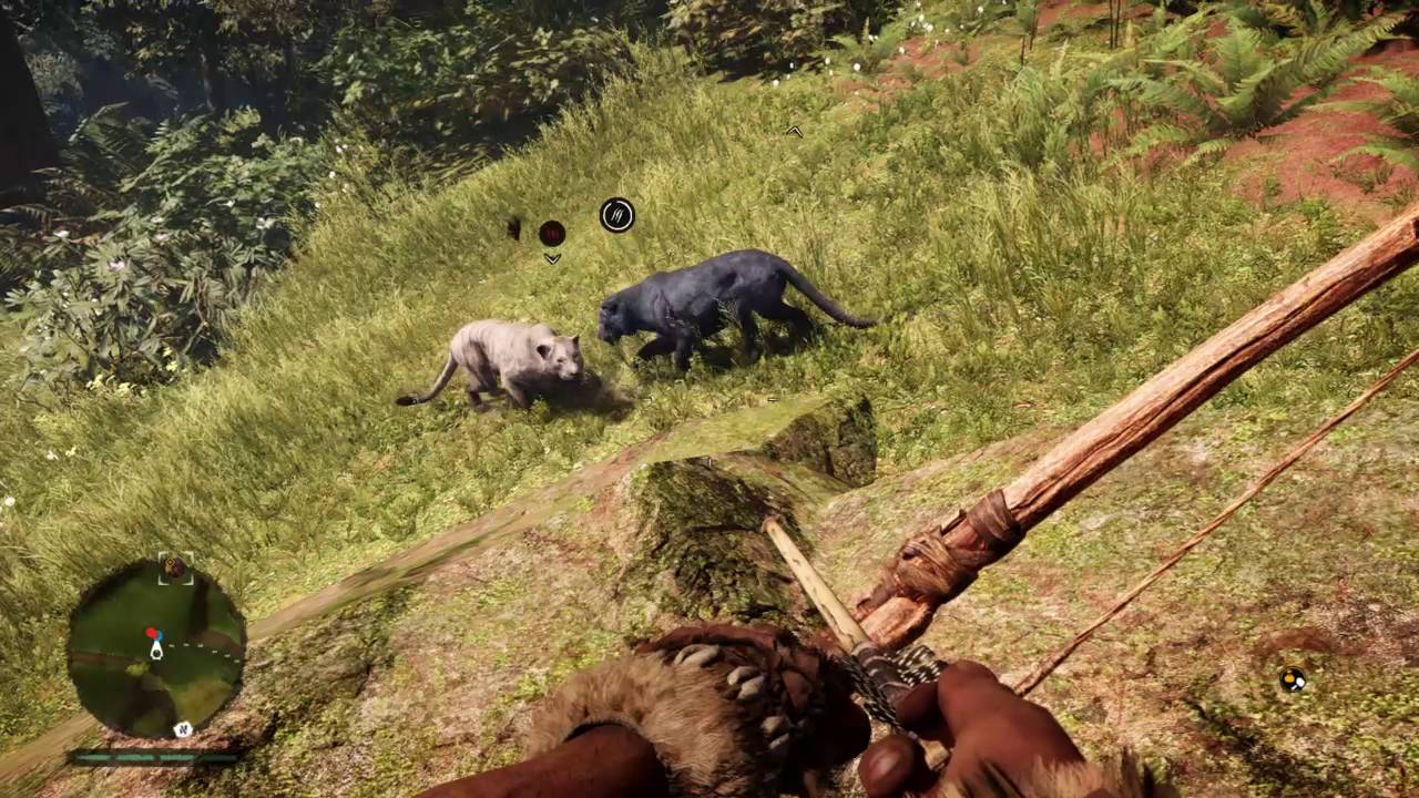Cave Lion Vs Rare Black cave Lion | Far Cry Primal