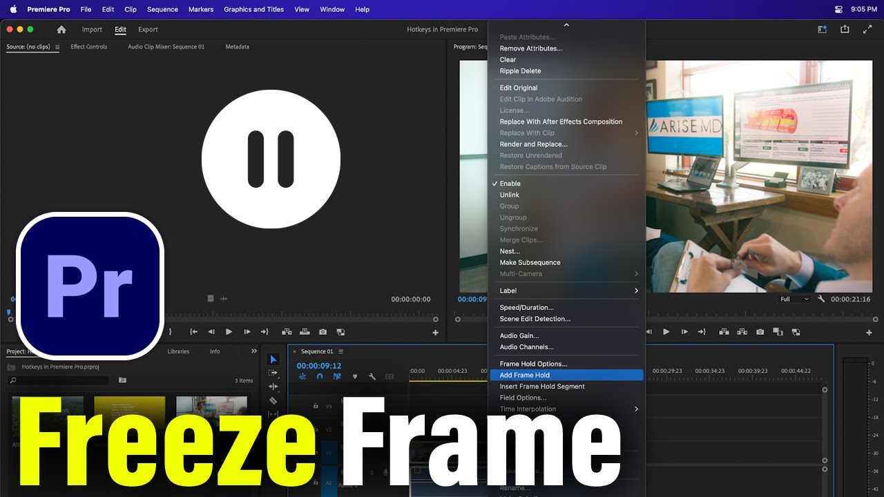 How to pause clip in premiere pro