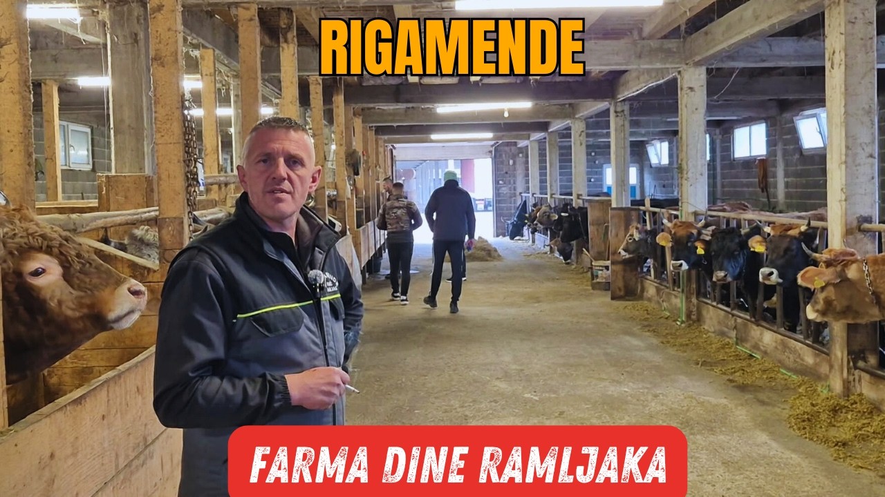 Bikovi bodači Dine Ramljaka i najpoznatijeg trenera Zeme