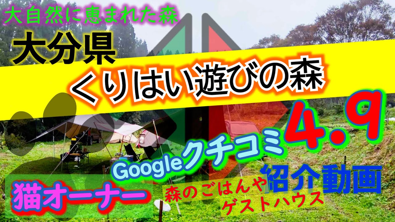 大分県「くりはい遊びの森キャンプ場」完全攻略【キャンプ場紹介動画】クチコミ4.9♪魅力的な森のキャンプ♪穴場キャンプ場♪オーナーは猫♪オートキャンプ場【4K画質】