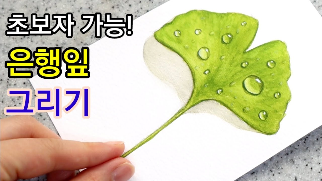 수채화 초보도 가능한 은행잎과 물방울 그리기 강좌:) ginkgo leaf and water drop drawing watercolor