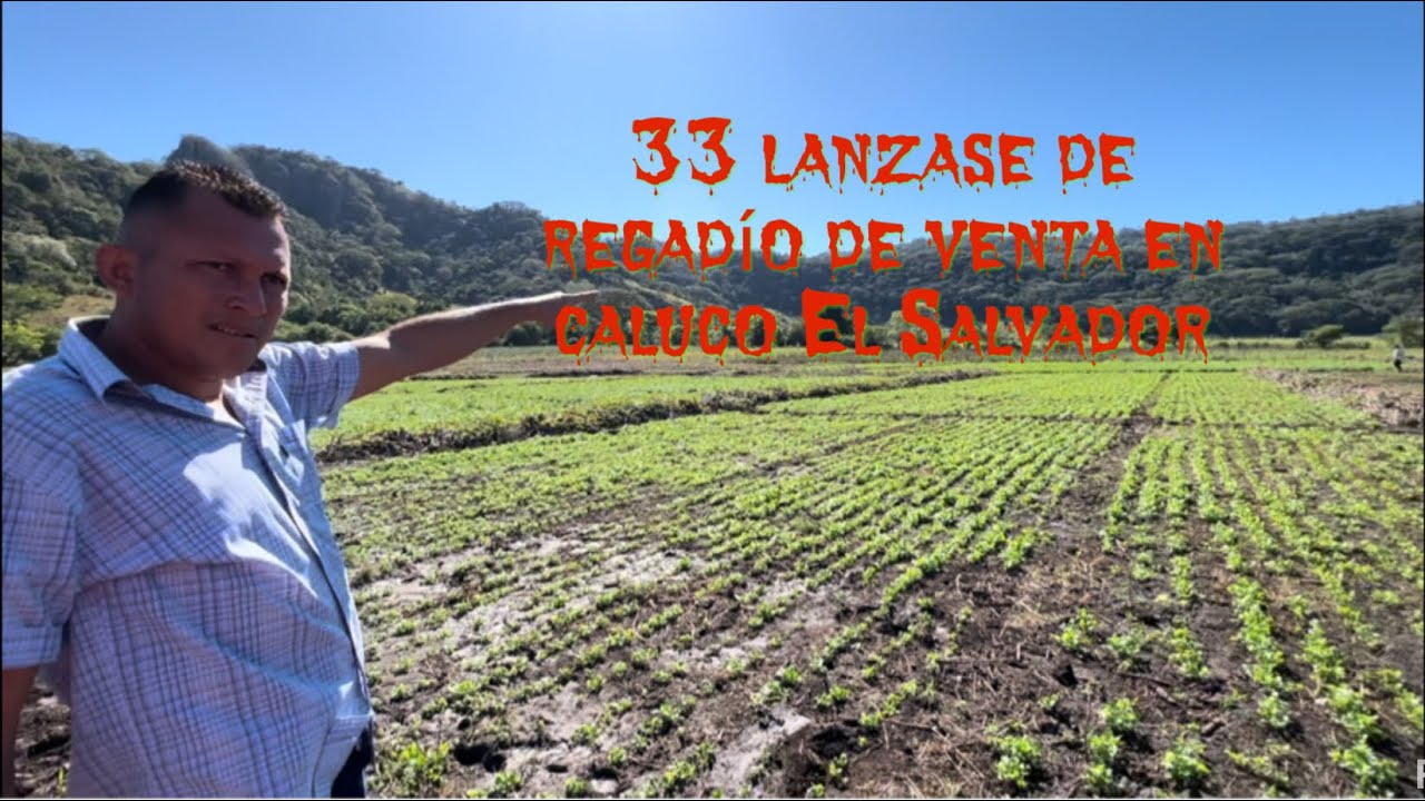 terreno de 33 manzanas 20 de regadío $12000 por manzana en caluco parte 3