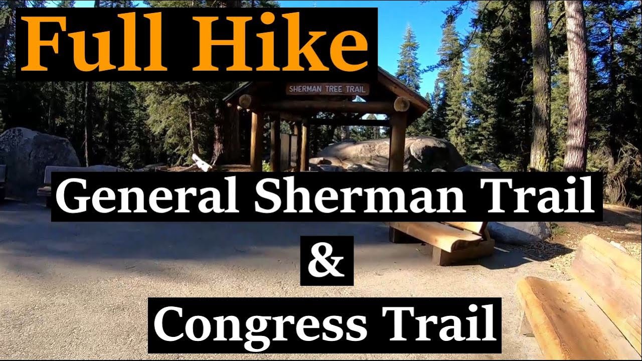 Virtual Hike | General Sherman & Congress Trail (Full Hike)  | Sequoia National Park | 1080p HD