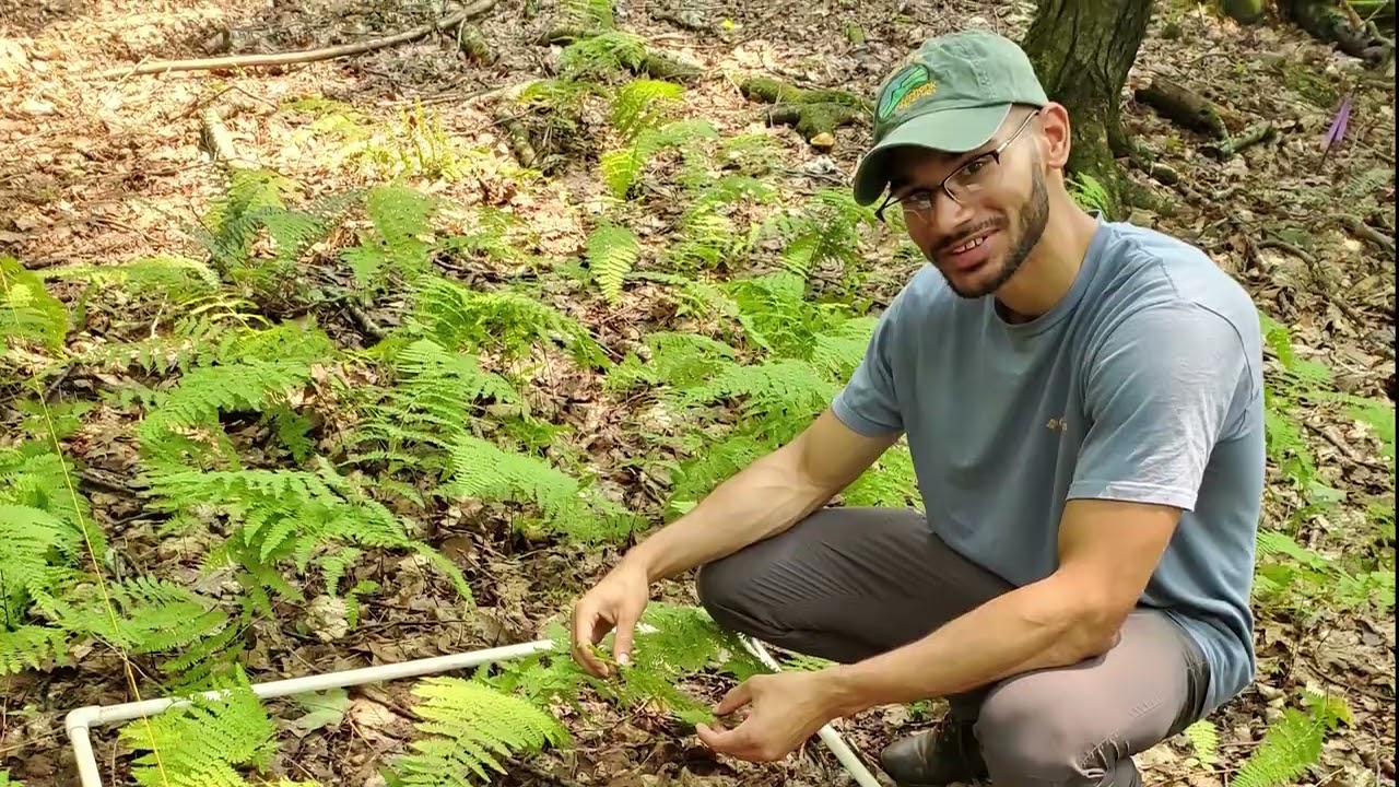 Conservation Programs at Mohonk Preserve