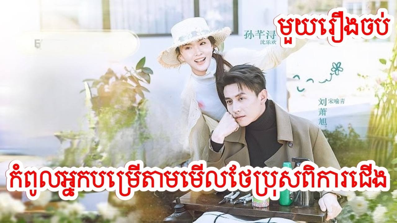 កំពូលអ្នកបម្រើមើលថែប្រុសពិការជើង សម្រាយរឿងចិន/មួយរឿងចប់/Movie Review
