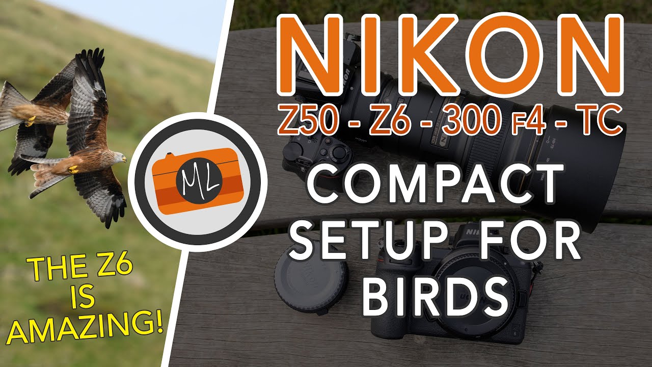 Nikon Z50 & Z6 with 300mm f4 PF + Teleconverters - A compact setup for Birds in Flight