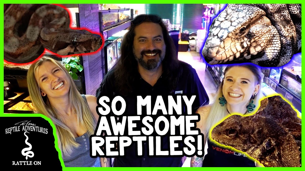 TOURING A NEW REPTILE SHOP! (Chief Reptile)