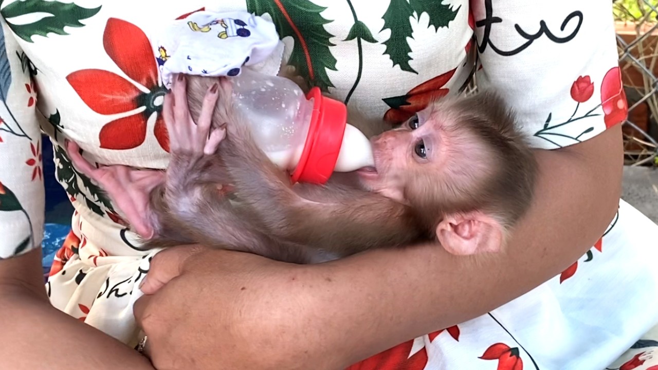 Favorite!! Mom Feeds Milk her adorable baby, LIORA, after playing on the swing