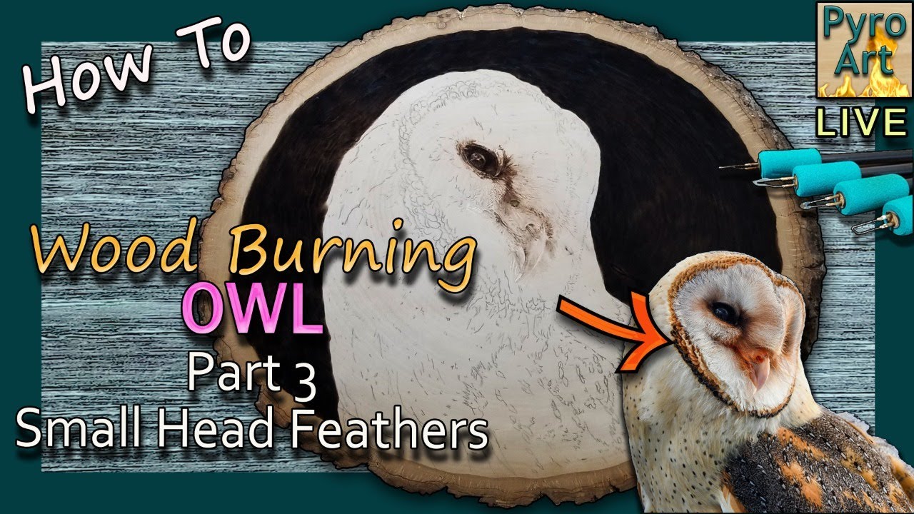 Pyrography Live How To: Wood Burning an Owl Pt3 Small Head Feathers // Keeping each other company!