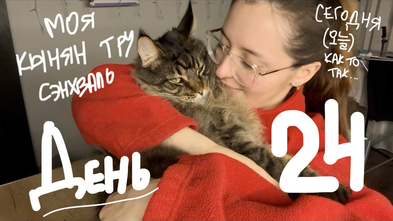 ежедневный влог | день 24 | 11.02.2026