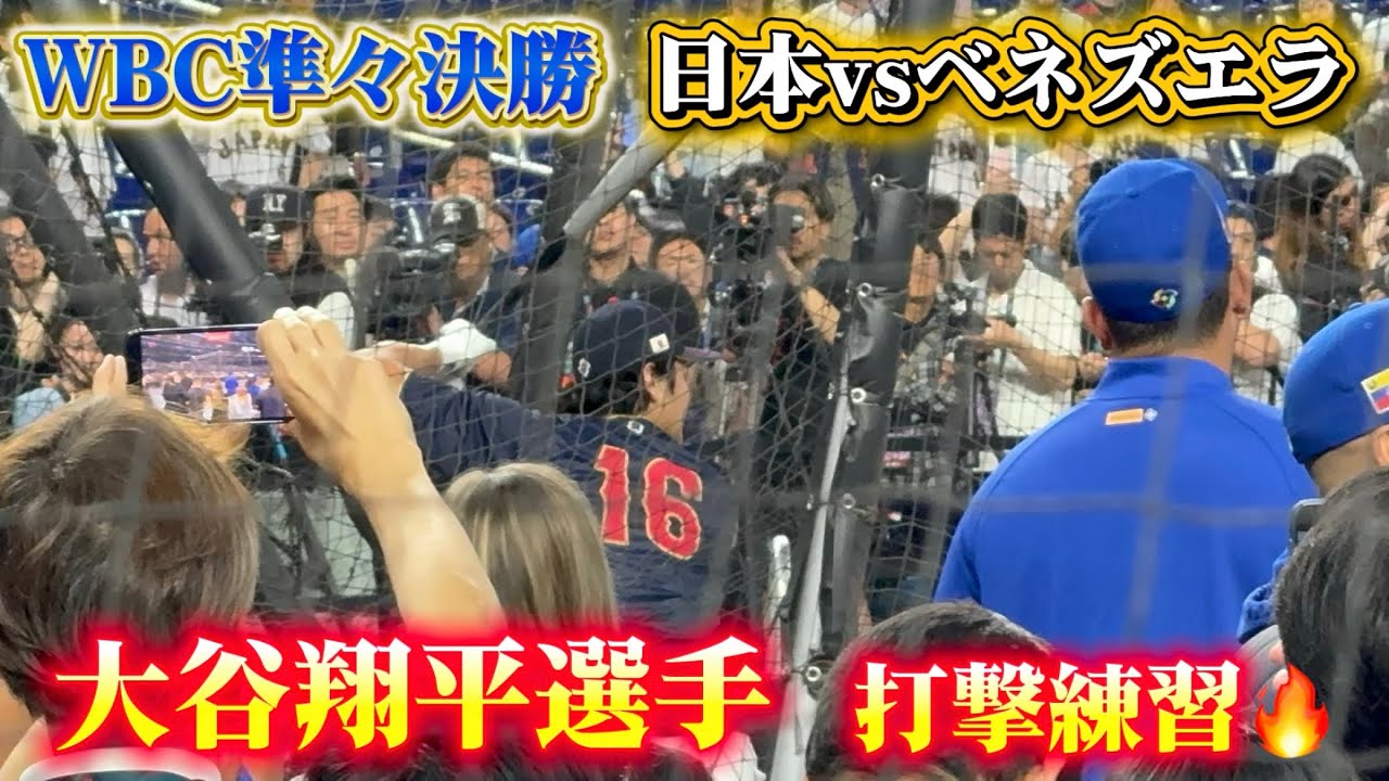 【現地映像】大谷翔平打撃練習(ベネズエラ戦前)