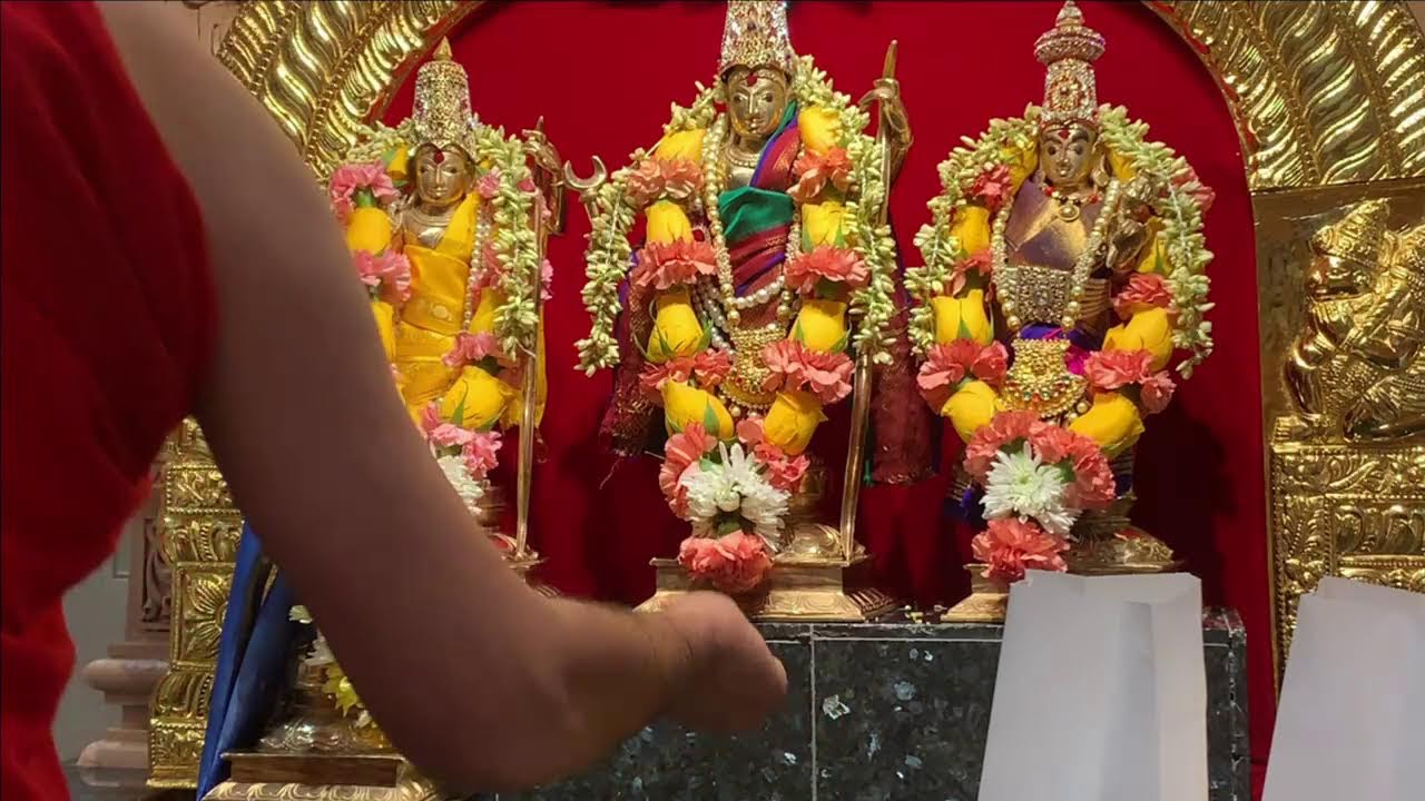 Daily Poojas - Live  Sri Sharadamba Temple, SVBF North, Michigan