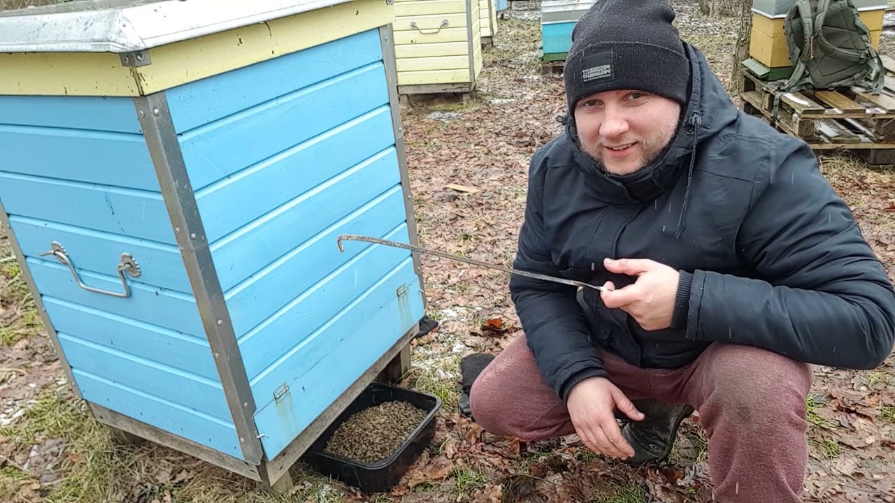 ŽIEMOS DARBAI #8
