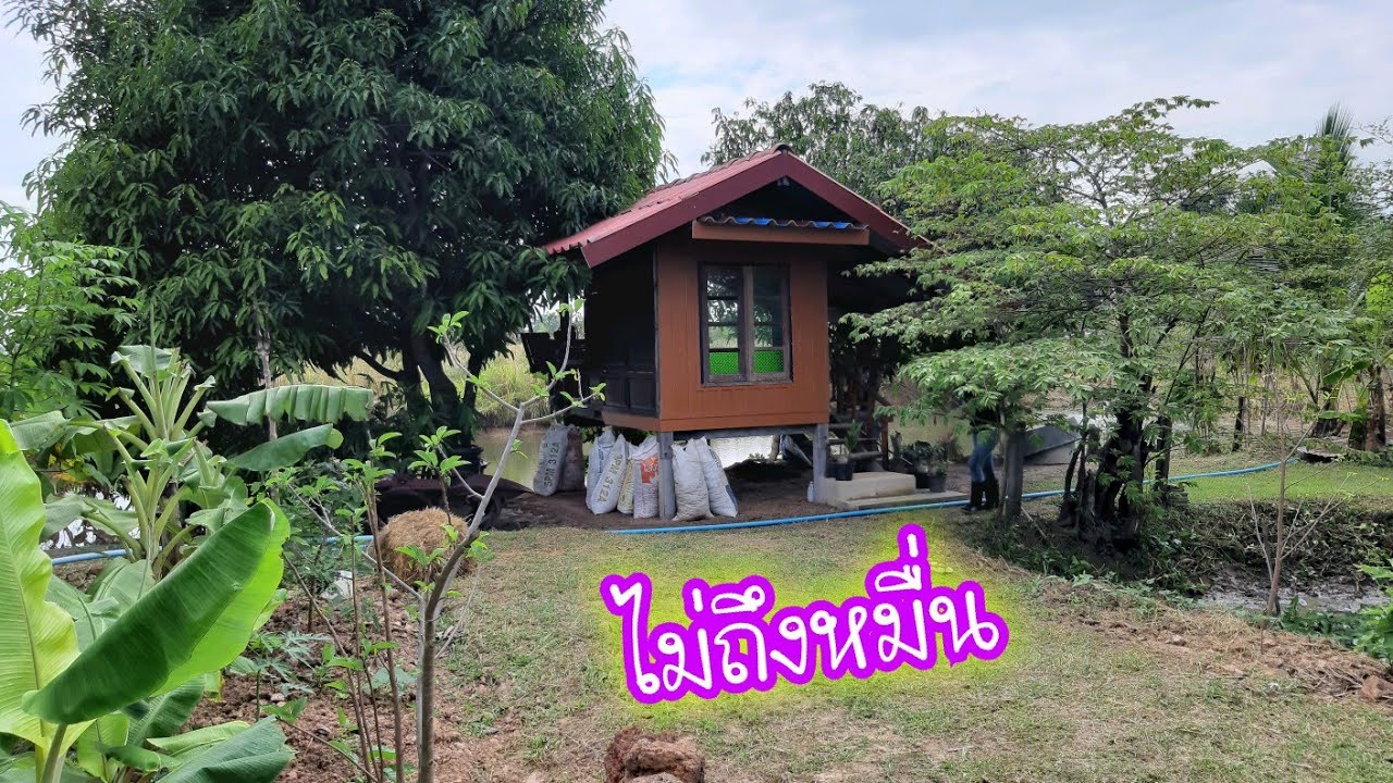 กระท่อมน้อยงามๆงบหลักพัน!!วิวหลักล้าน