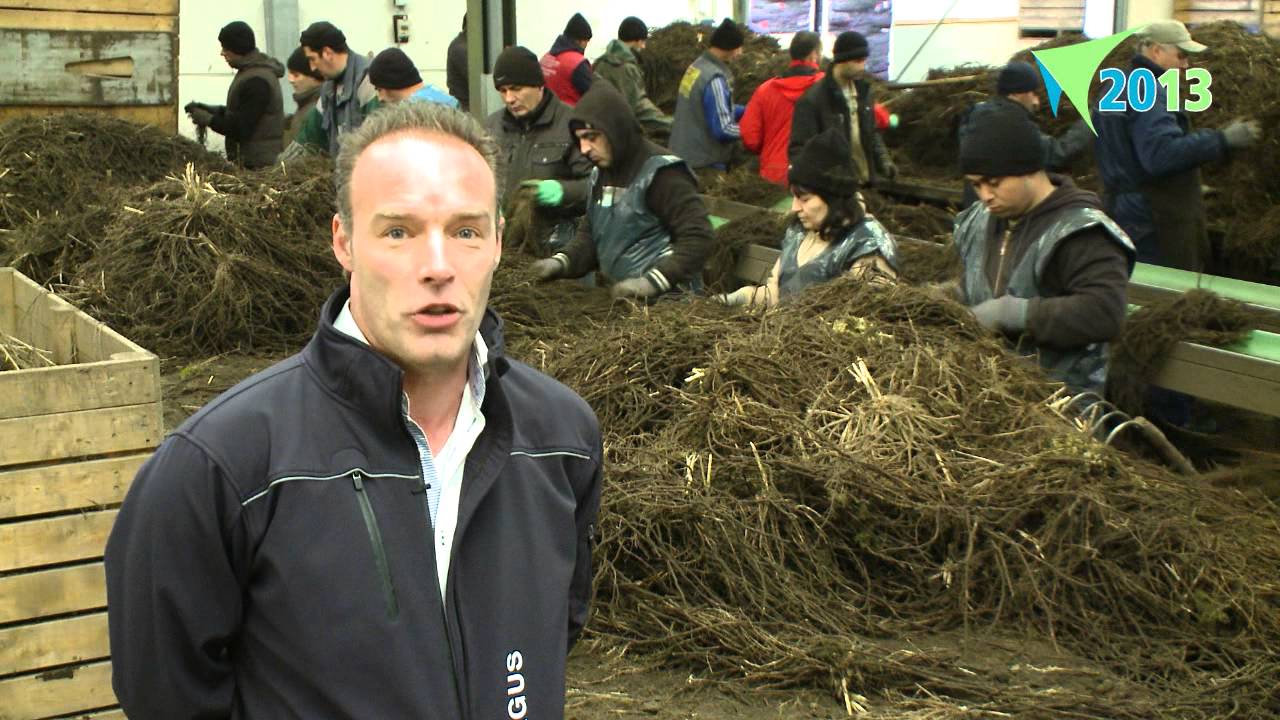 Agrarisch Ondernemer: Will Teeuwen