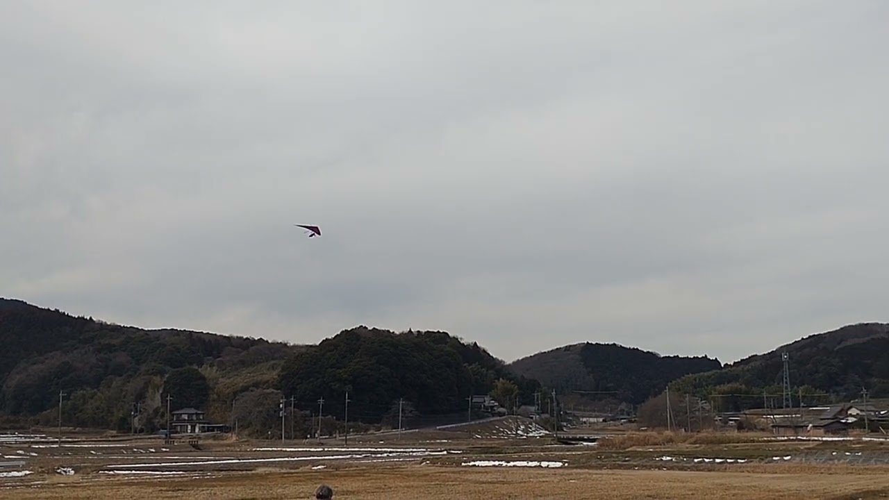 20260210 板敷LD こーた②