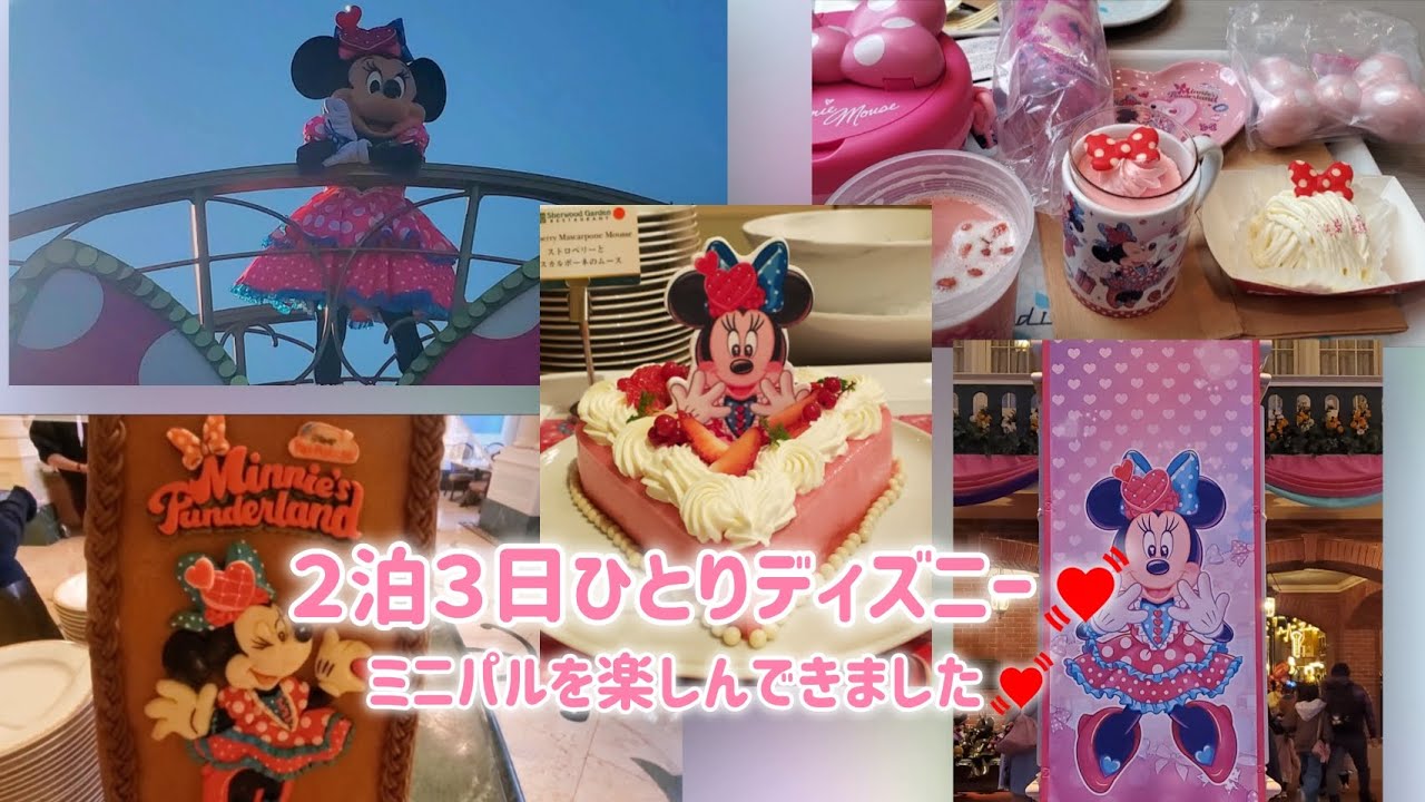 ひとりディズニー/ミニーに染まったパークを満喫してきた💓/2026.1.12～14