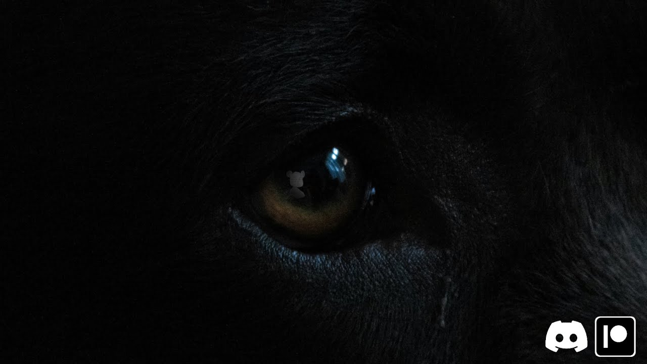 The Dark Before the Dawn | Reverse Comfort | Werewolf | Halloween Special.