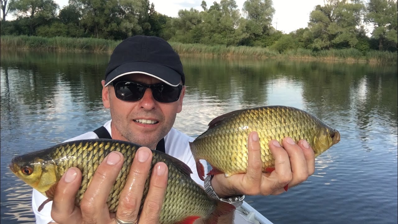 Piękne wzdręgi na spinning UL