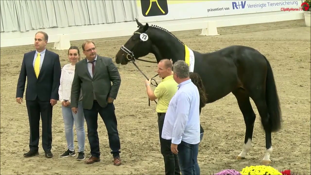 Friedrich der Große - Körung 2019