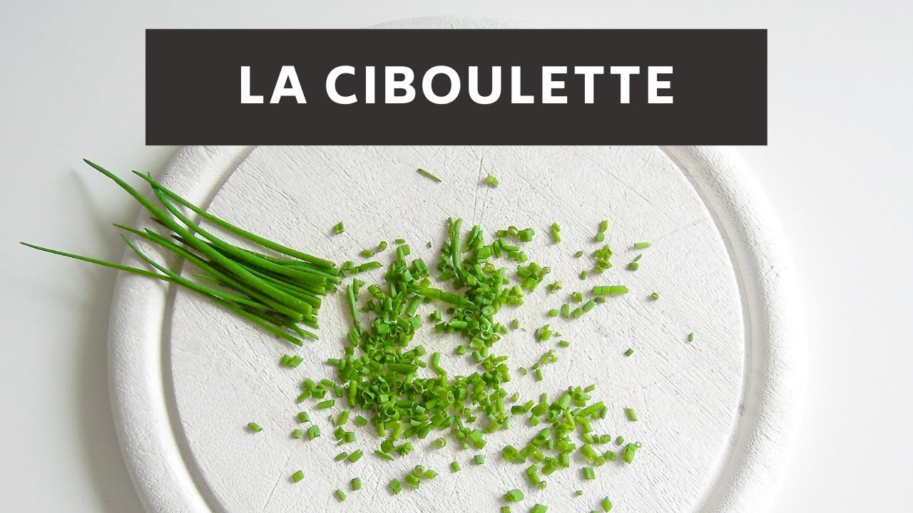 La ciboulette