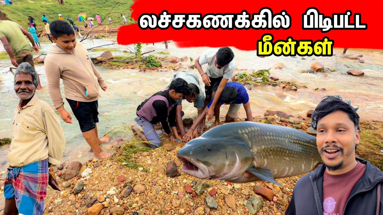 🔴 வரலாறு காணாத அழிவு  😭 / Tamil bros 