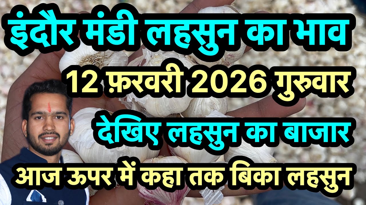 12 February 2026 indore Mandi lahsun ka bhav 
