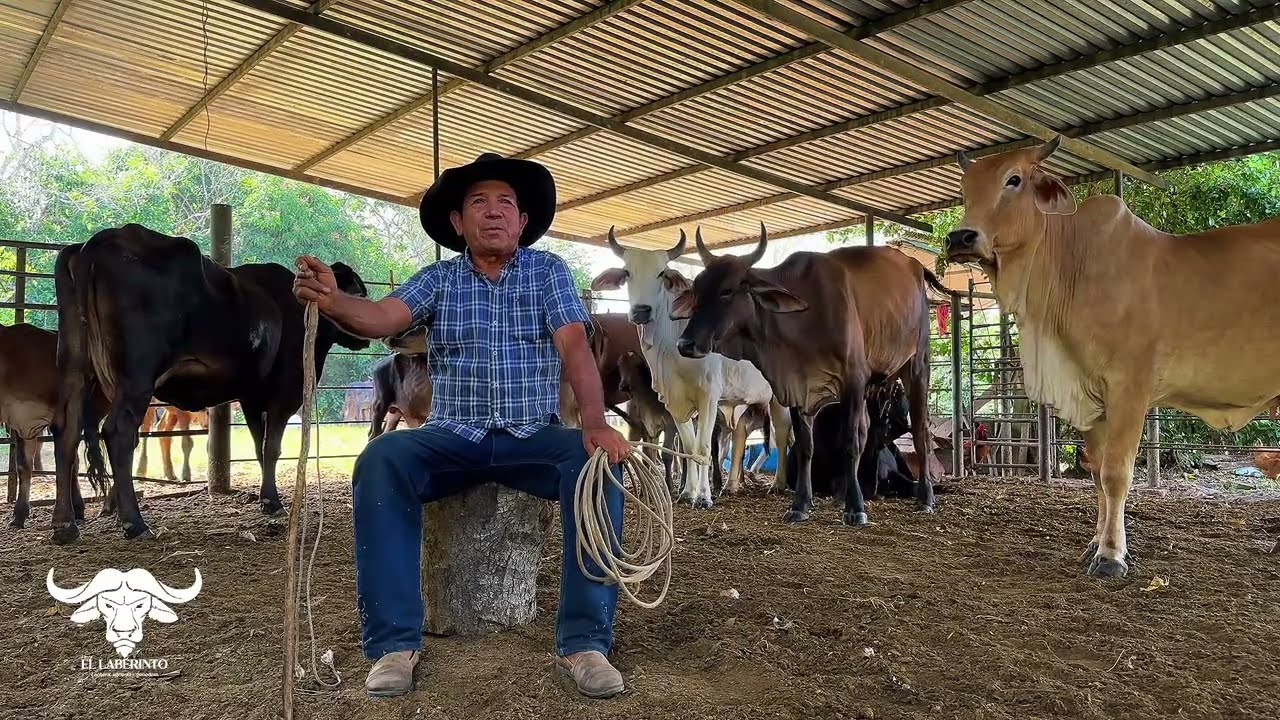 Una vida que contar