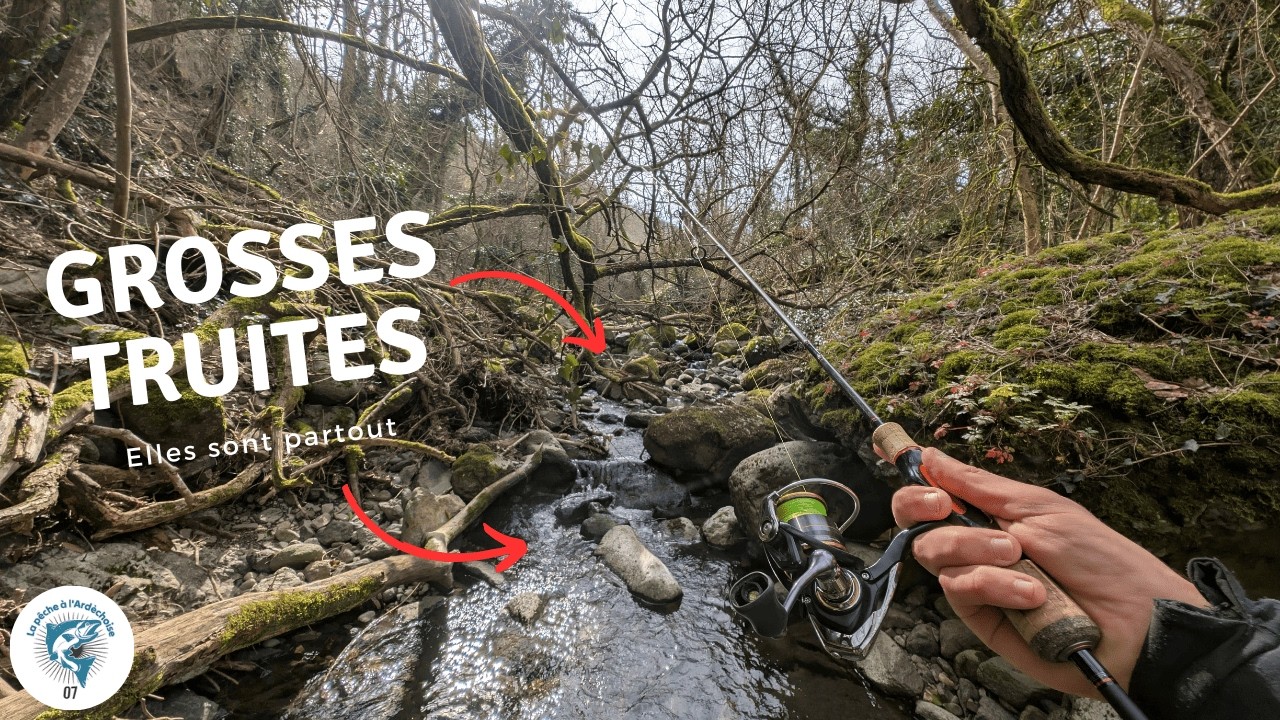 Toutes les truites de ce ruisseau sont maillées ! (cuillère - leurre souple - no kill)