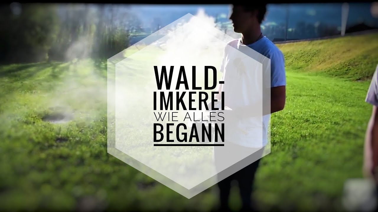Die Wald-Imkerei - Wie alles Begann (Kanaltrailer)