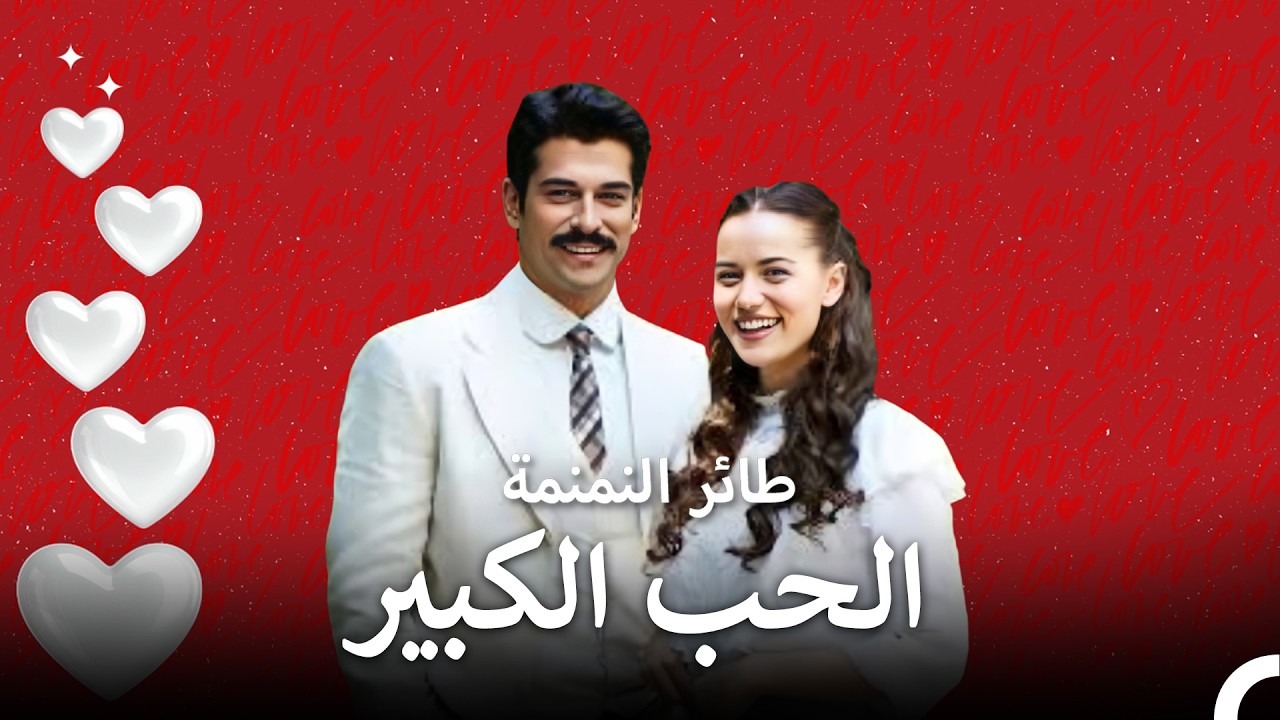 هل هو الحب من النظرة الأولى | طائر النمنمة