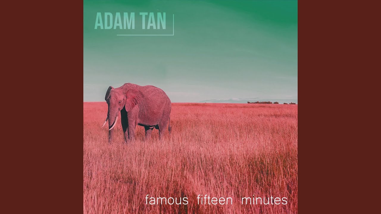 Famous Fifteen Minutes