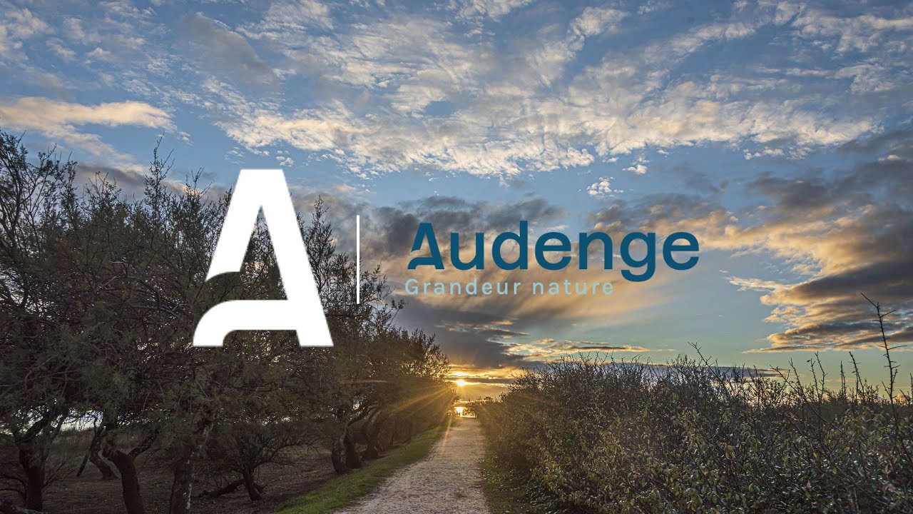 AUDENGE Grandeur Nature