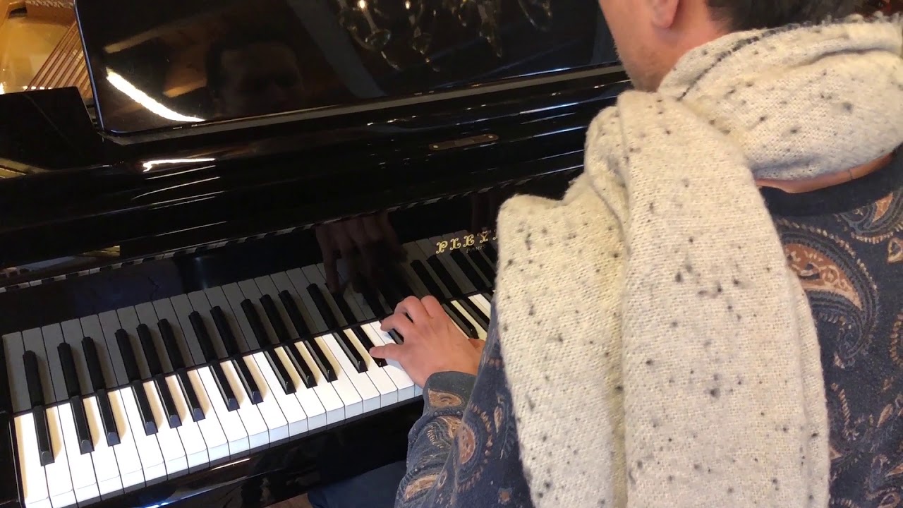 Pleyel grand piano - Emile van Leenen Piano's