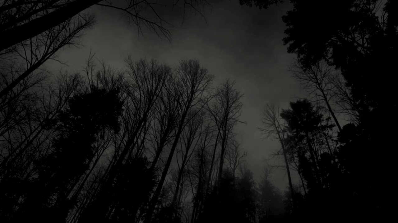 rest your mind this night