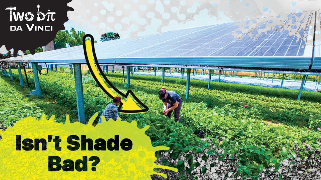 Growing Crops & Solar Panels Shouldn't Make Sense...