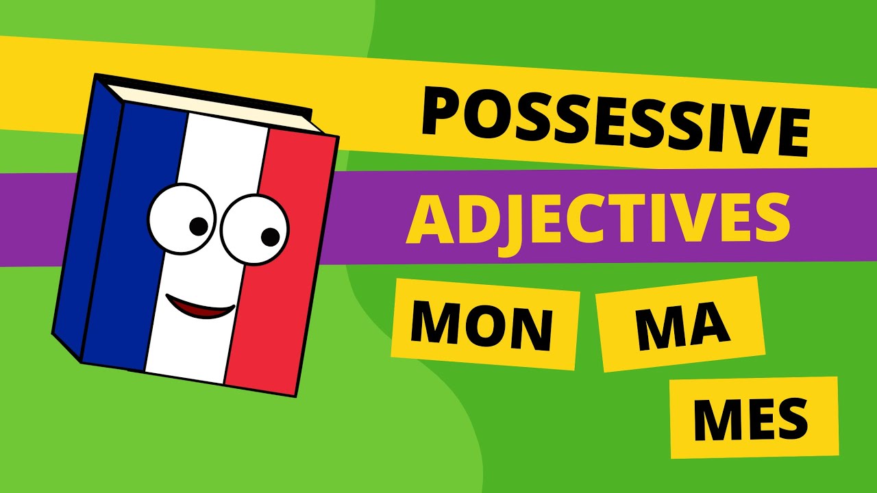 Possessive adjectives in French