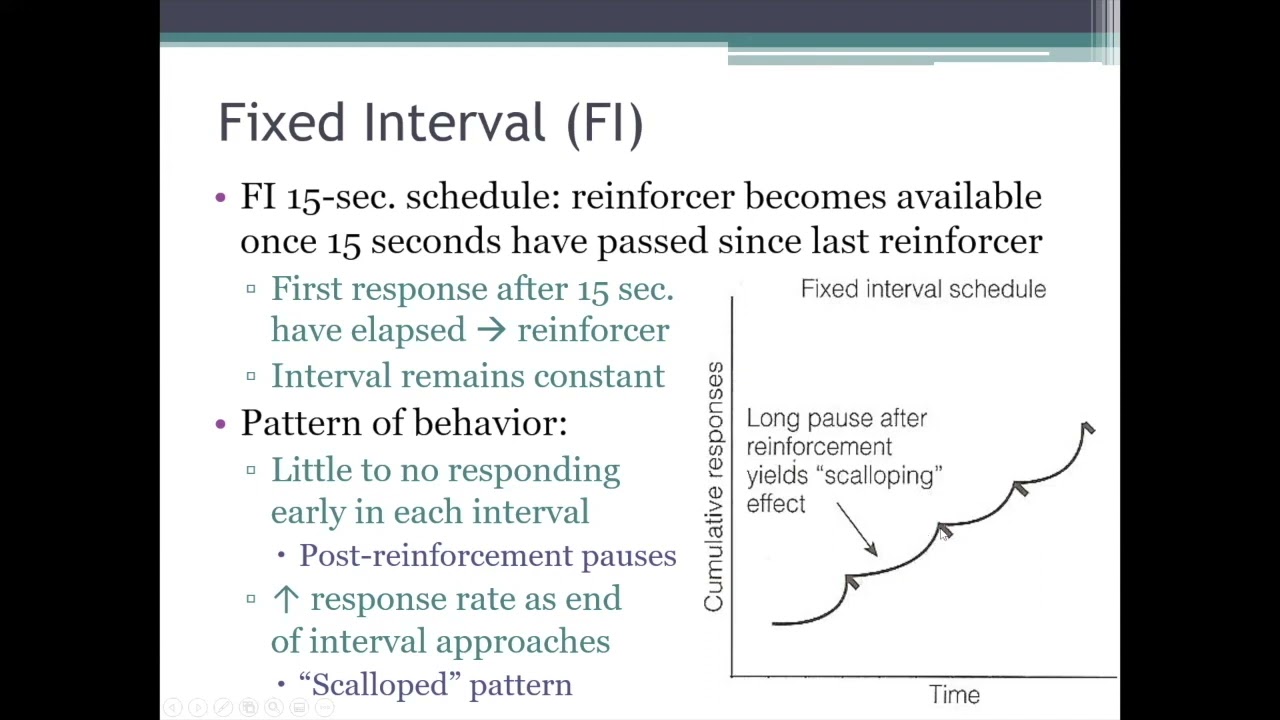 PSYC 370 Video Lecture - The Fixed Interval (FI) & Variable Interval (VI) Schedules of Reinforcement