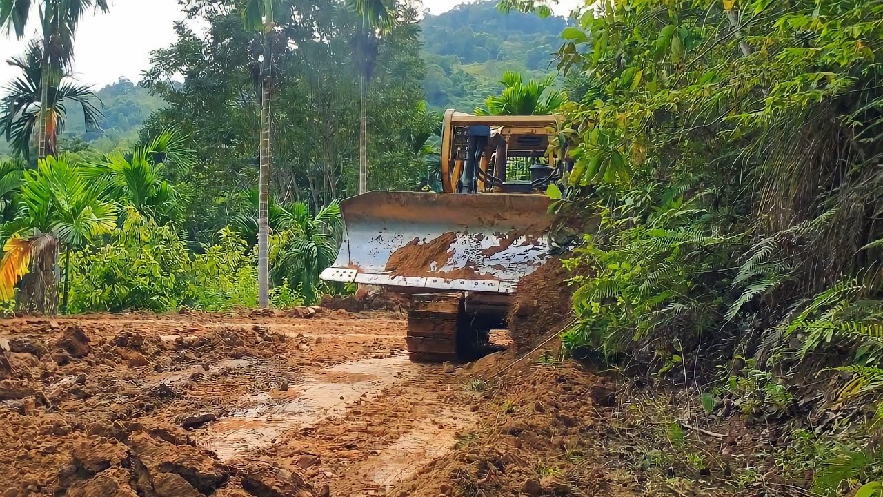 Excellent Ability of CAT D6R XL Bulldozer Operator in Making Roads on Plantations