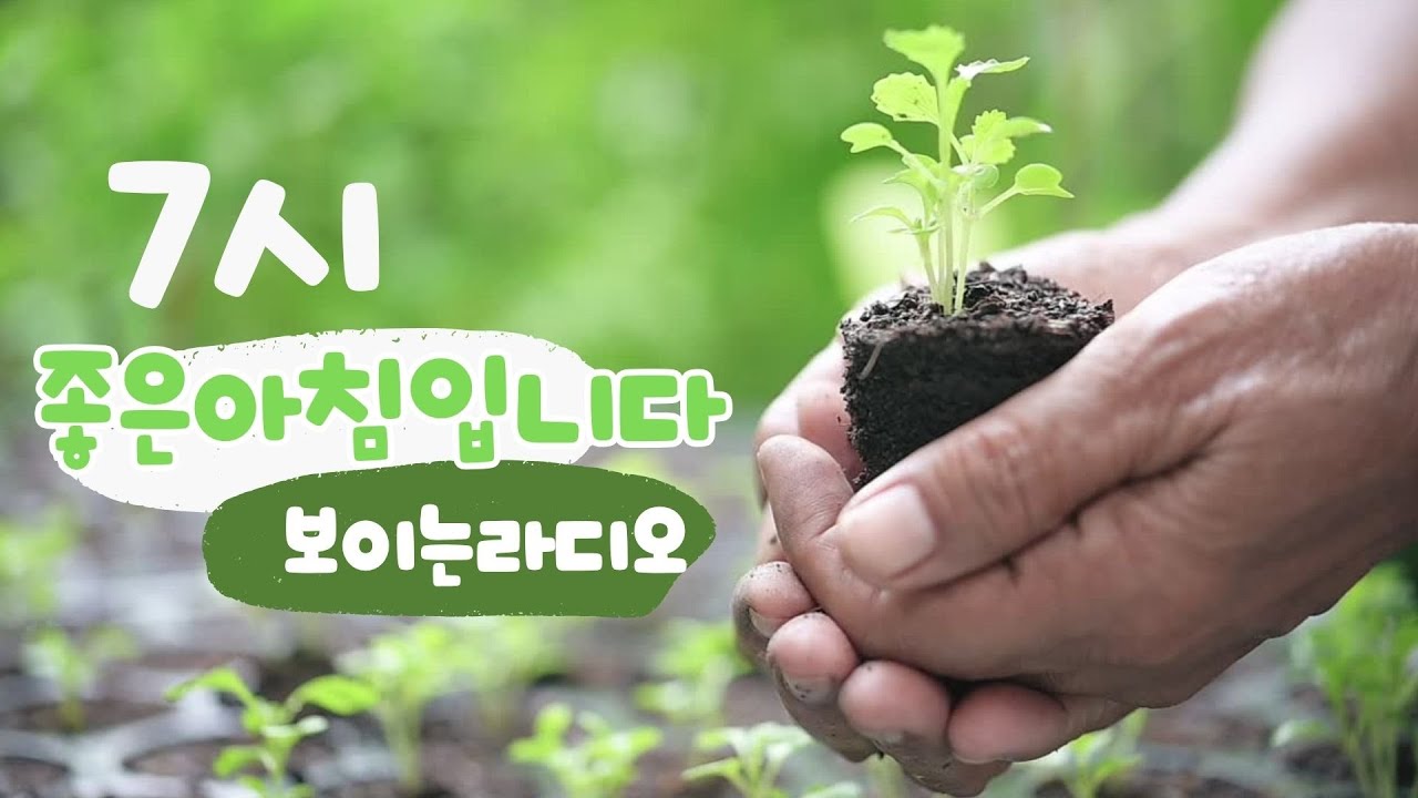 [보이는라디오] 260309 월 좋은아침입니다