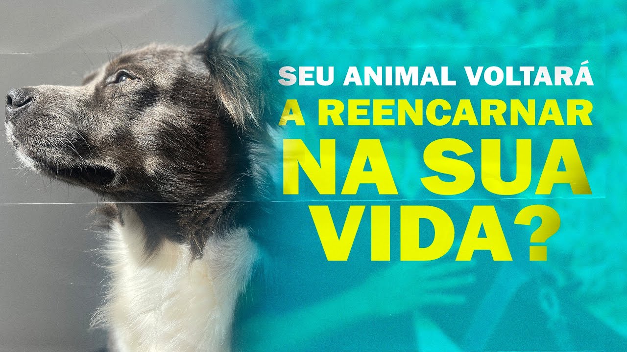 Reencarnação dos animais