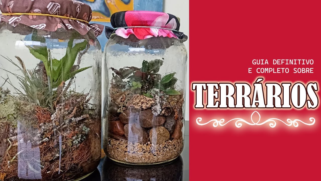 GUIA COMPLETO - COMO fazer um TERRÁRIO num POTE de AZEITONA