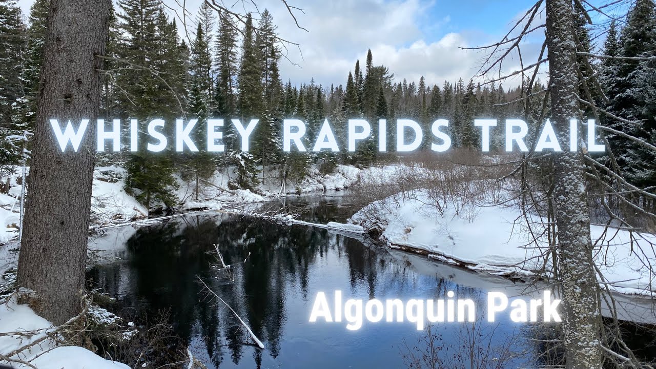 Whiskey Rapids Trail, Algonquin Park 4K