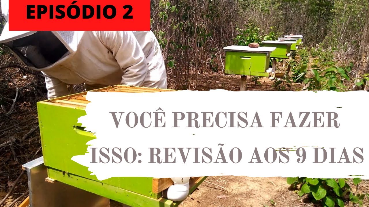 Divisão de Enxame Passo a Passo (Método X, Parte 2).