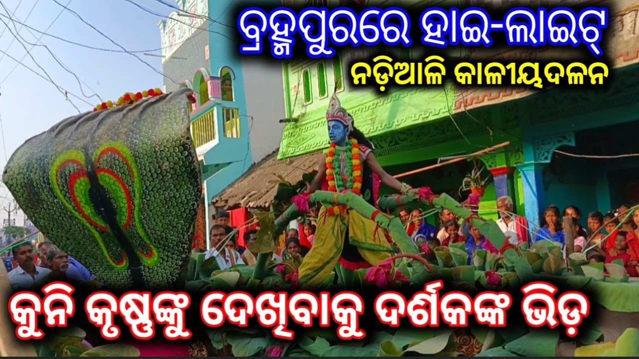 କୁନି କୃଷ୍ଣଙ୍କୁ ଦେଖିବାକୁ ଦର୍ଶକଙ୍କ ଭିଡ଼ // ନଡ଼ିଆଳି କାଳୀୟଦଳନ // Nadiali Kaliya Dalan, Nayagarh