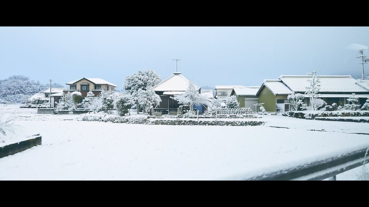 Xperia 1 II Cinematic Video Test (Using Cinema Pro)