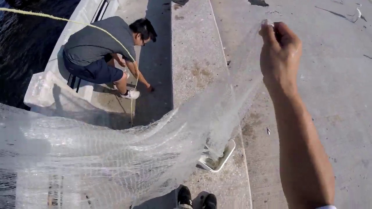 Castnetting Bait on Skyway Fishing Pier (the lazy way)